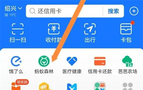 支付宝如何用活力值兑换花好月圆树皮肤