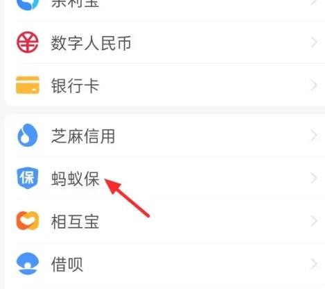 支付宝蚂蚁保险怎么退保关闭