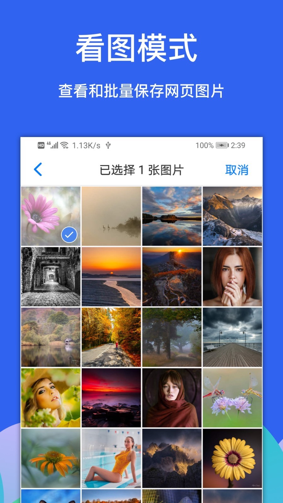 Alook浏览器 去广告版