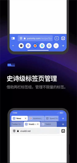 vivaldi浏览器 最新版