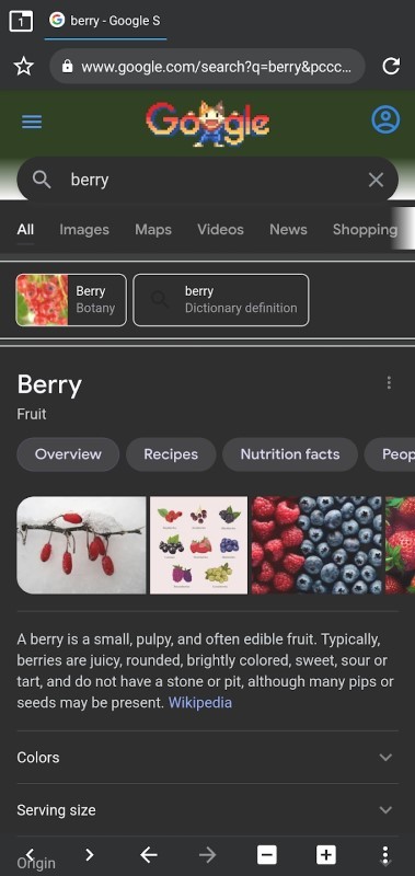 berry浏览器海外版苹果下载