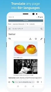 kiwi浏览器安卓版2022旧版本下载