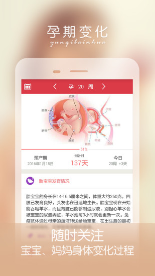 孕妇怀孕期伴侣下载安装2025安卓版下载